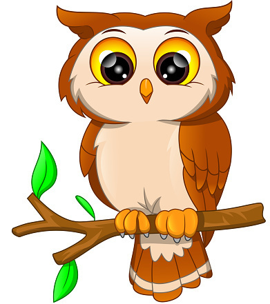 owl